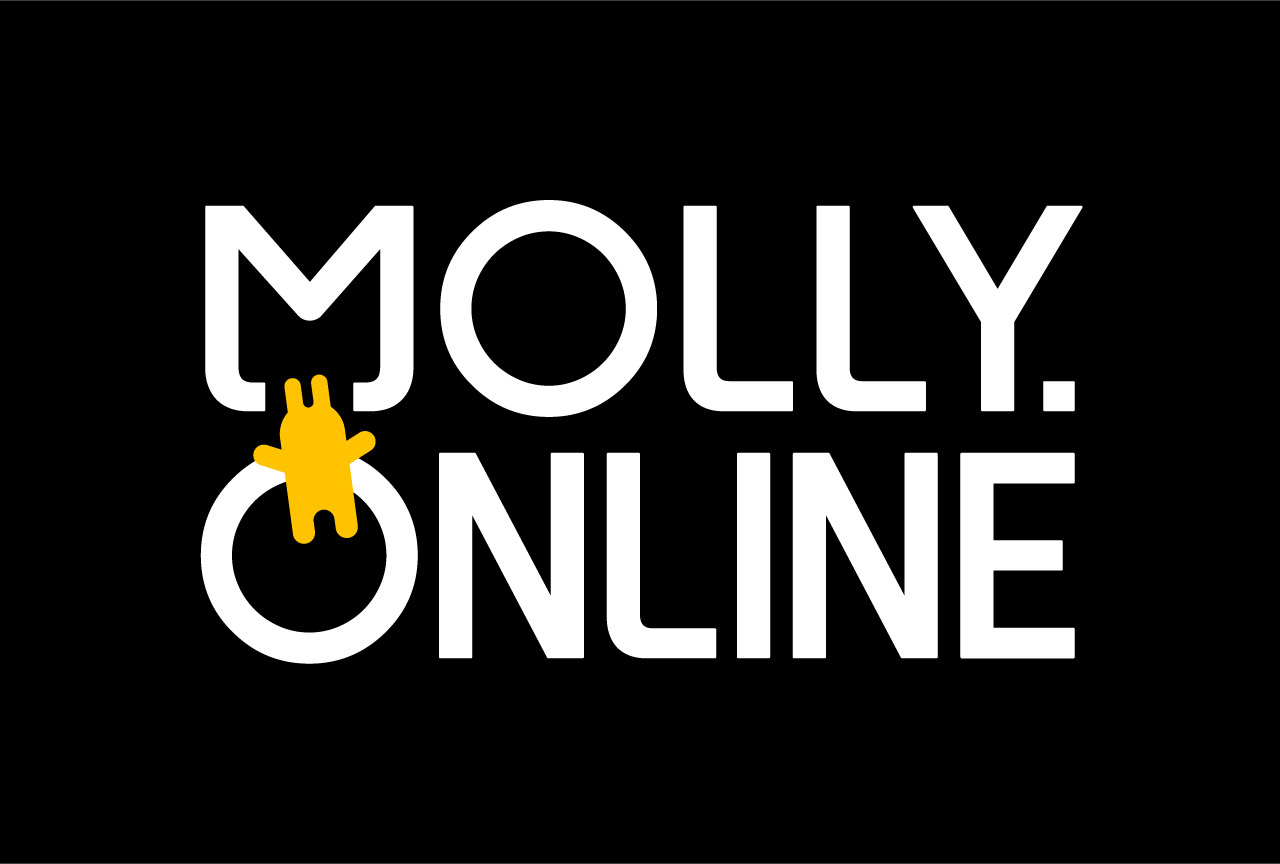 オンラインクレーンゲーム「モーリーオンライン」について